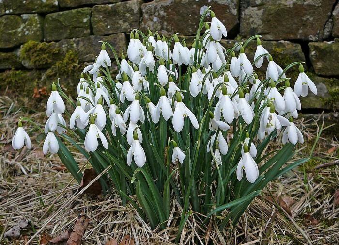 ����������: ��� ��������� ����� ���������� ����� �������� �����