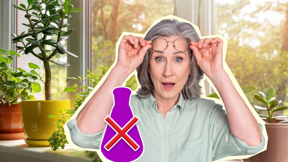 ���������� ��������� ��� ������ ��������� ��������: ������ ��������� �������� � �����