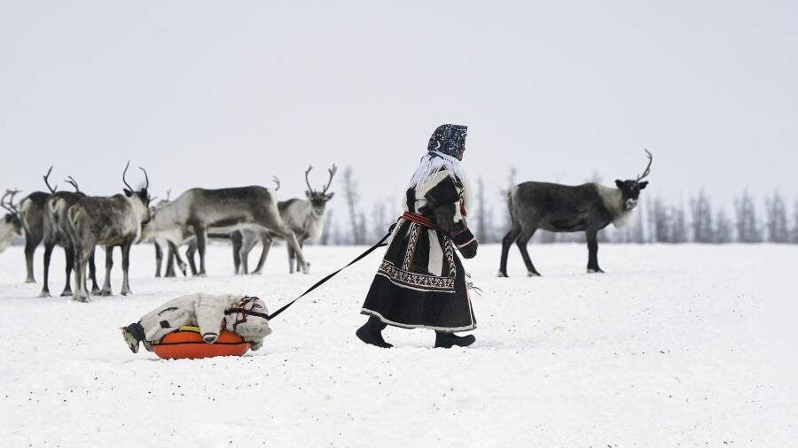 ������������� ��������� ��� �������� ������� ������: ����� ����� � ������� ������ �����