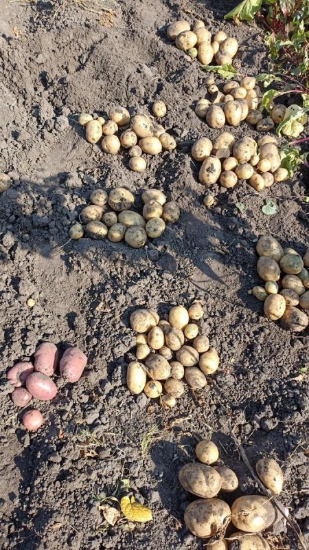 ��� �������� ������� ������ ���������, �� �������� �����