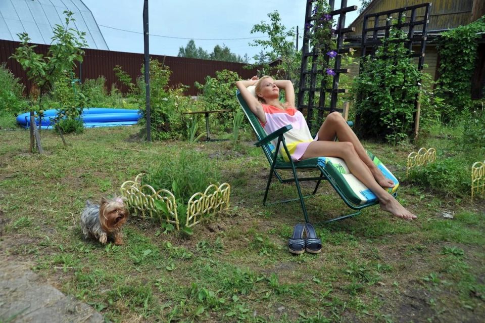 ����������� ��������: ��� ������� ������������ � ���������� ������