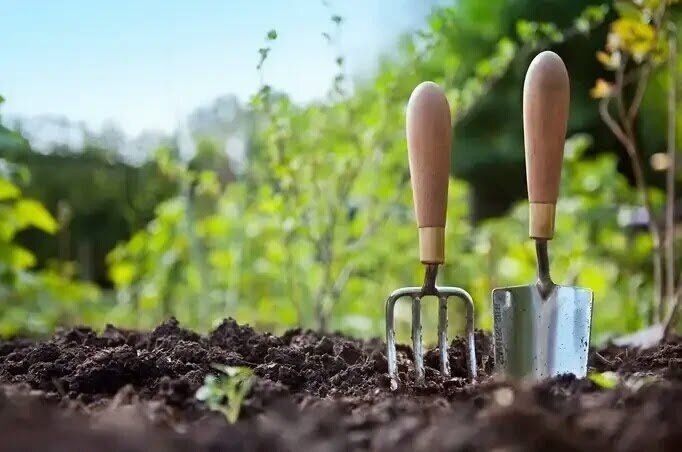 ������ �������� ����� - ���� � ������ � �����������