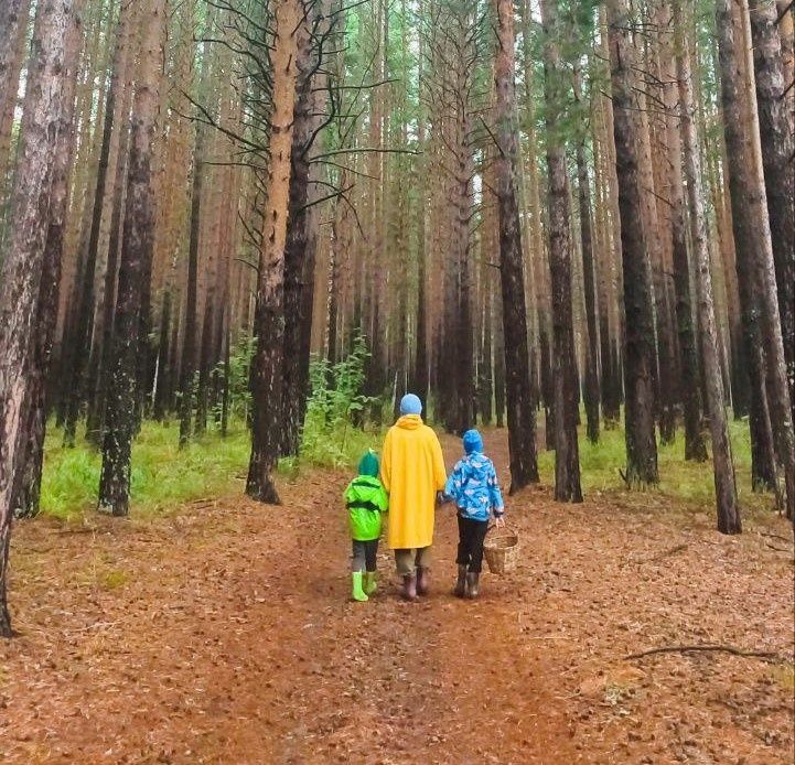 ��� 72-������ ������� �������� ��� ������� ����: ������� �������� � �������