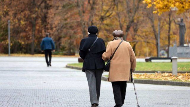 Права пенсионеров: как извлечь максимальную выгоду из льгот и гарантий