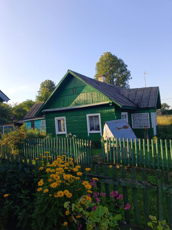 Утраченное детство: история о потерянной встрече