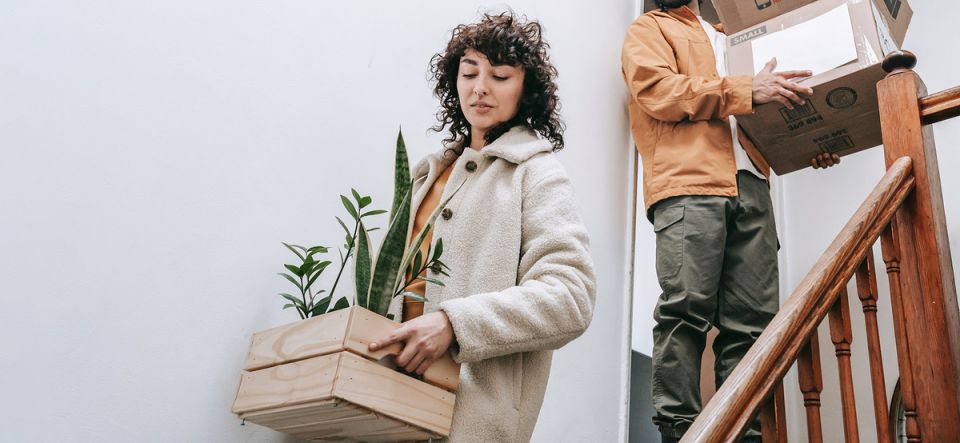 ��� �������� ���� ����� �� ���� � ������������������� ��������: ���� �����