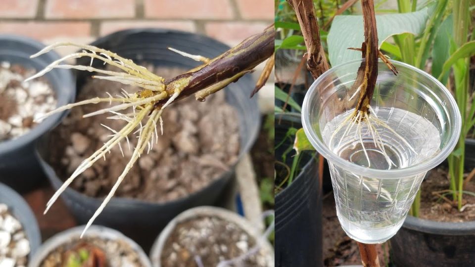 ��������: ����������� ������� � ���������� ��������!