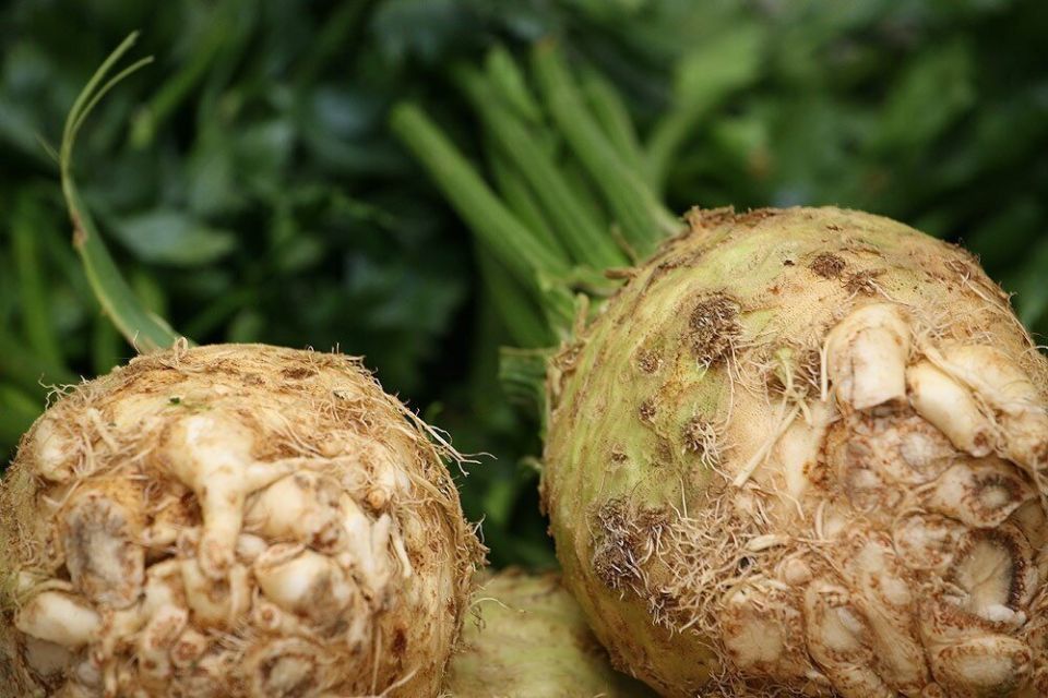 ������ ������� ����������� ��������� ���������: ��� �������� ��������� ������