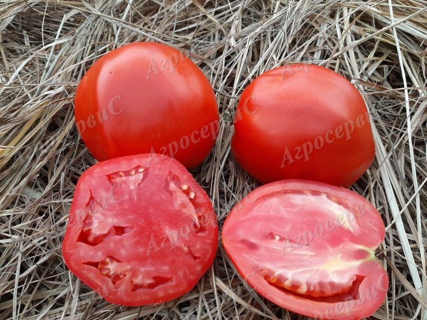 ����� ������: ��� �������� ������� ������ � ������������ ��������