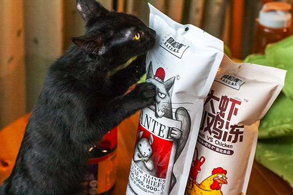 ��������� �����: � ������� ��������� ������������ ��� ��������� ��������