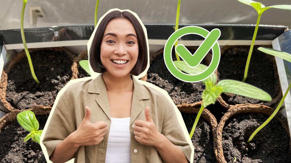 ��� ������ ������ ������: ������� �������� ������, ��� � �������