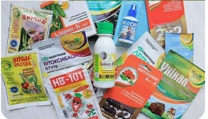 ������������: ���� � ���������� ����������� ������ ��������