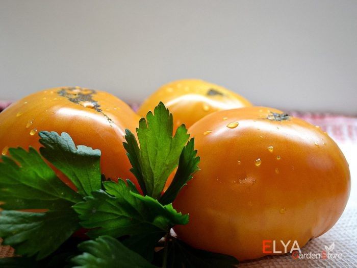 ����� ������ ���� �����: ������� ����� � ����������� ��� ��������