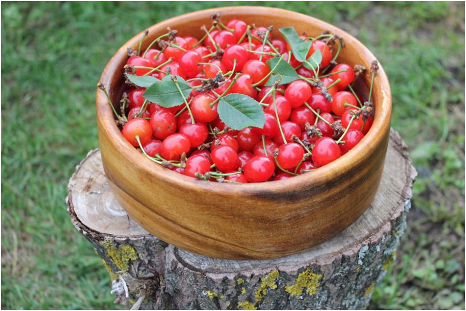 ��� ���������� ������ �� ����: ��������� ������ ��� ����