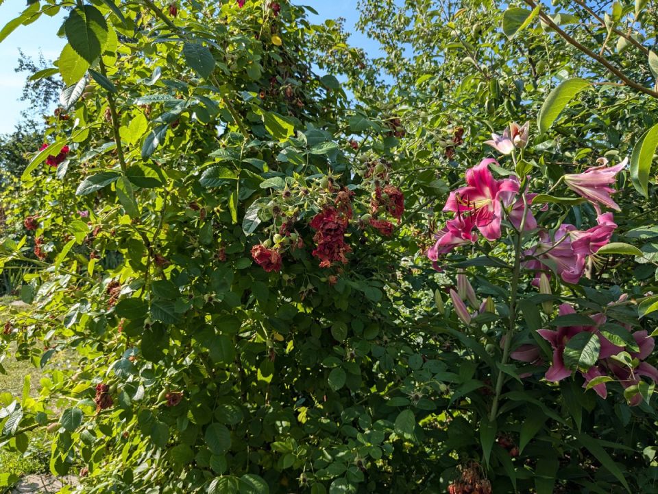 �������� ������� �����: ��� �� ��������� � ��������� � ����� ������