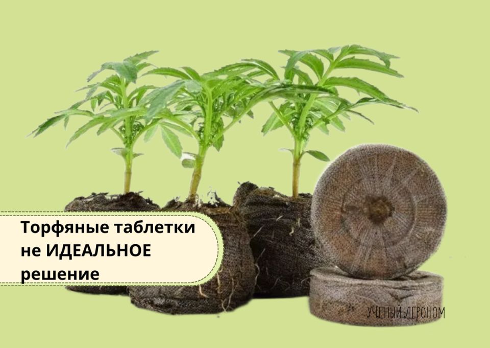 �������� ��������: ��������� ������ �� ���� � ���������� ��� �������