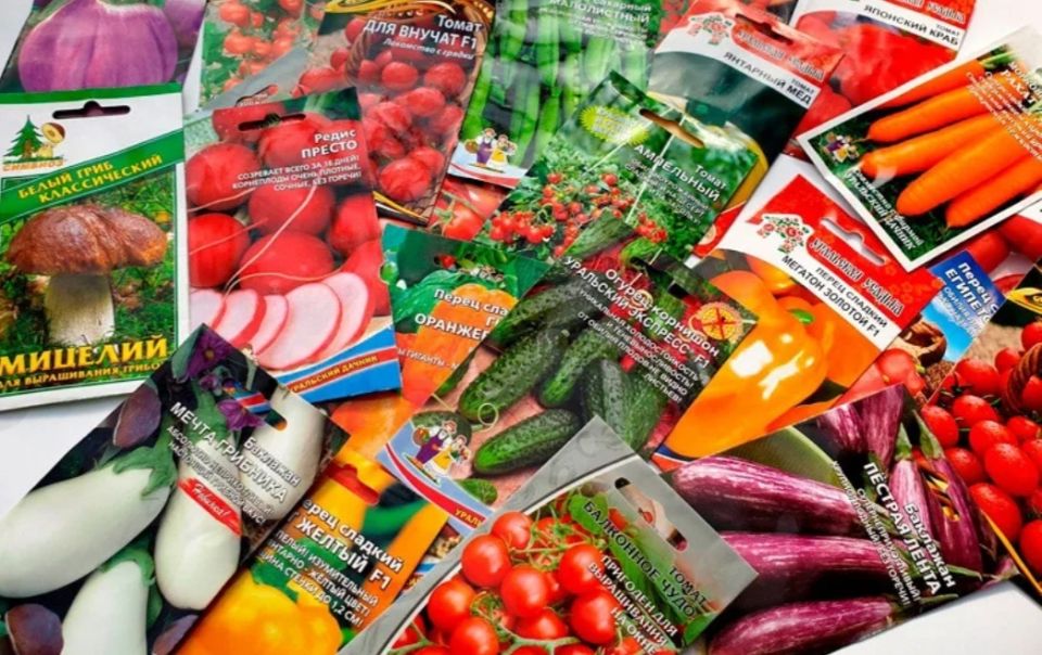 Как оживить просроченные семена и вернуть им всхожесть