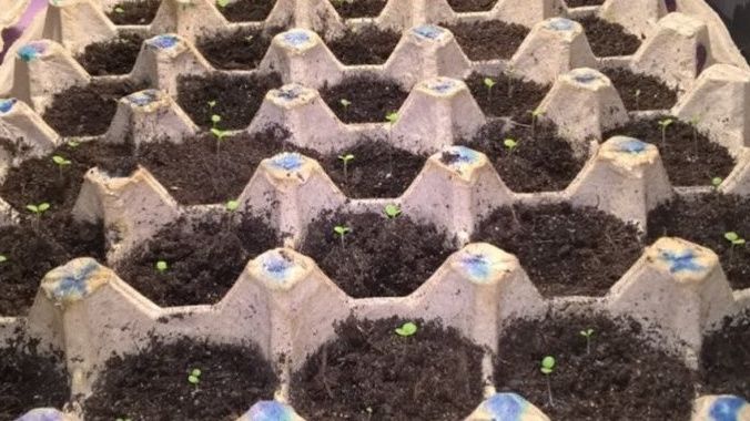 ���������� ������: ���������� ������� ������� � ������ ������