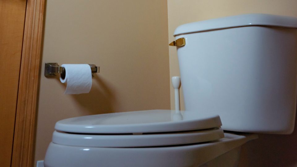 ���������� �� ������ � ������� �� ������: ����������� ���� ����������� �������