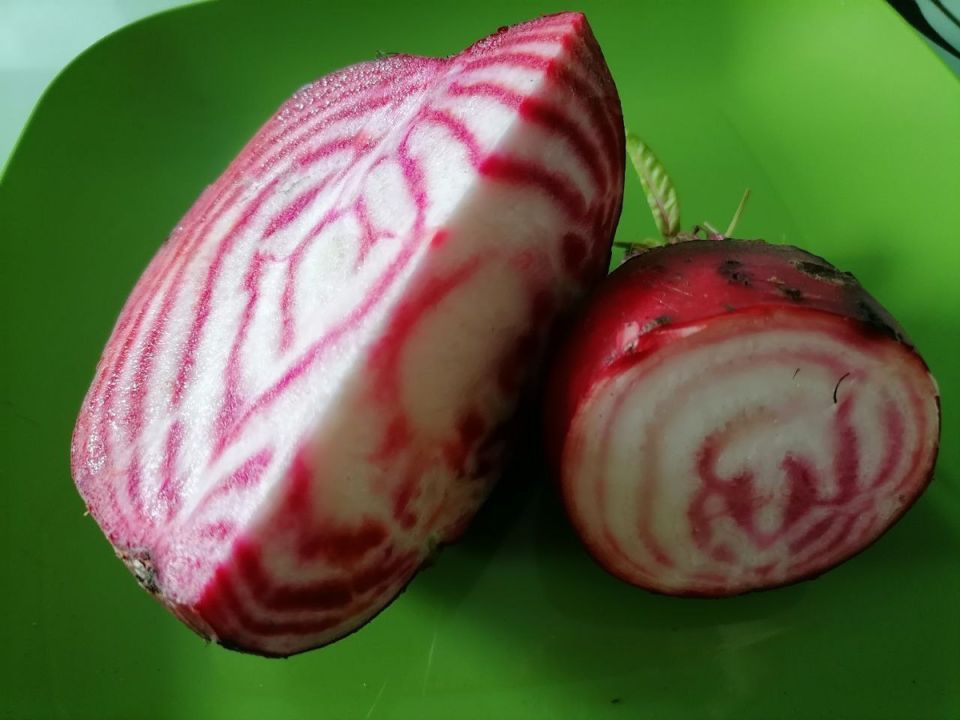 ������ ����� ������ �� ������ �������� ������: ������ �� ����� ����� � �����������