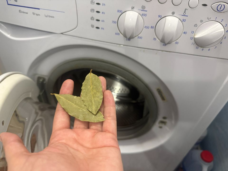 �������� ��� ������: �����, �������� � ������ ������� ����� �� �������