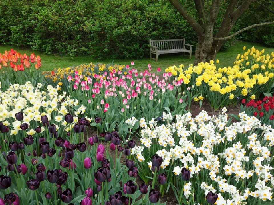 ����� ��� ���� ��� ������: ��������� ������� ��� �������