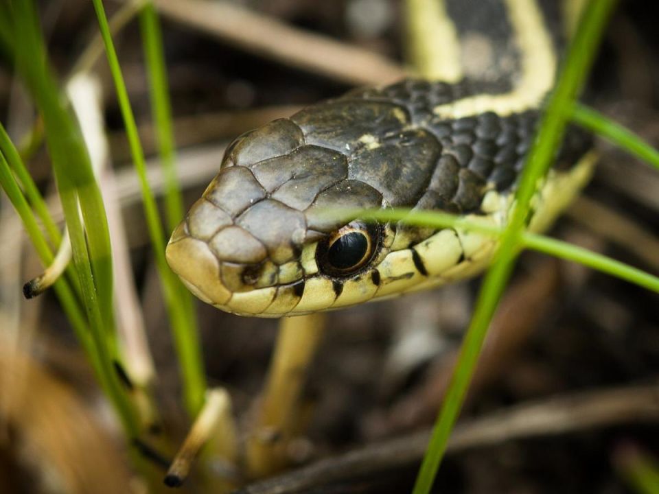 ��� �������� ���� ��� �� ���� � ������� ������