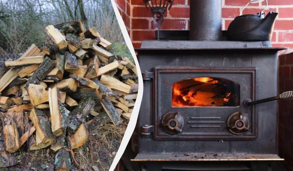 ��� ��������� ������ ���� ������ �������: ������� �������