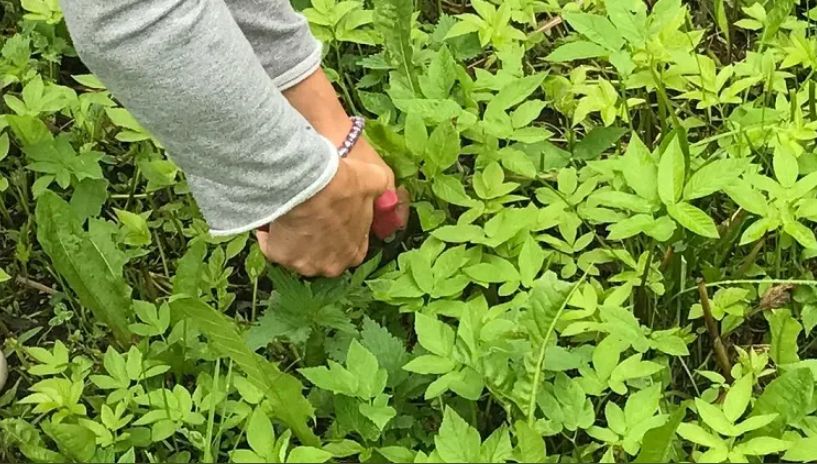 ��� ���������� ���������� � ������ �� ����� �������