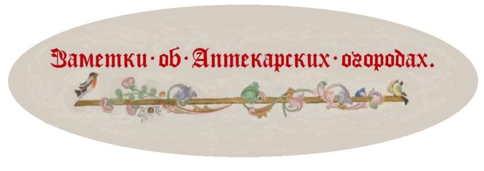 ������� ��-������: ��������� ���� �� ������