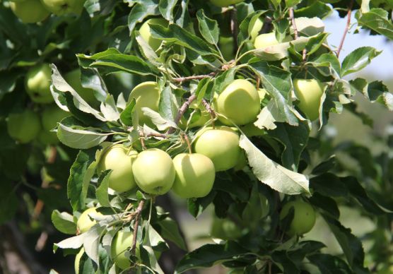 ���� ������ ������ ���������� ����: ��� �������� ���� �� ������ ��������