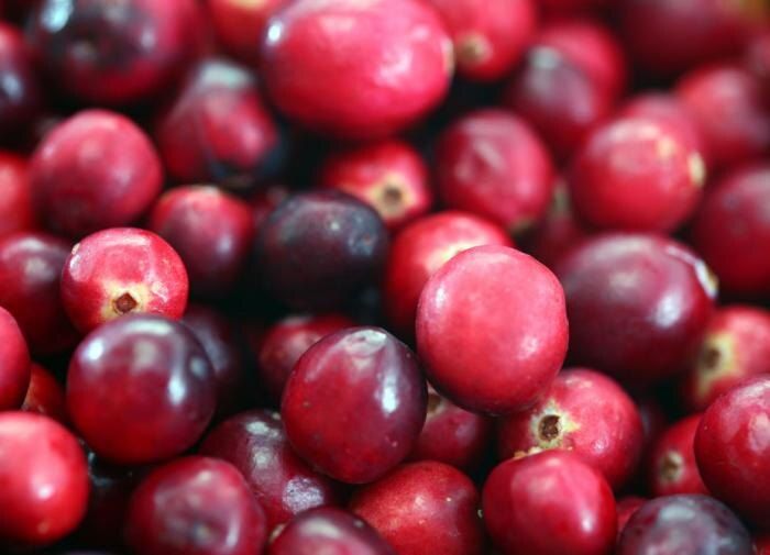 ��� ���������� ������ �� ����� �������