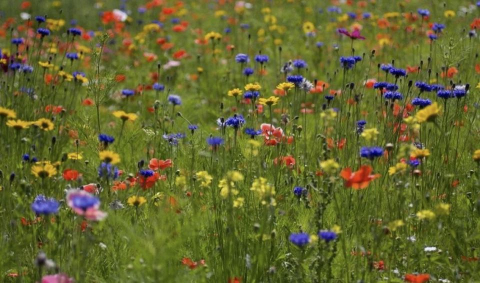 �������� ������������� ������: ������ �� ������� ����� � �����