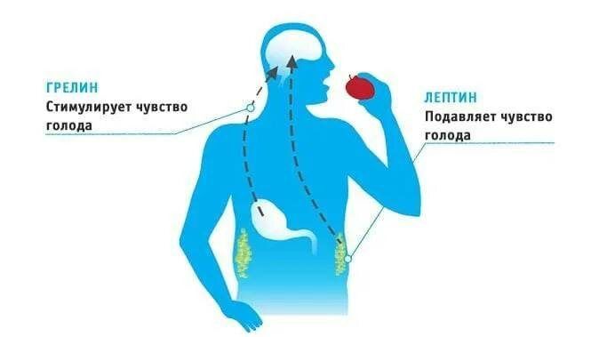 ��� �������� �������