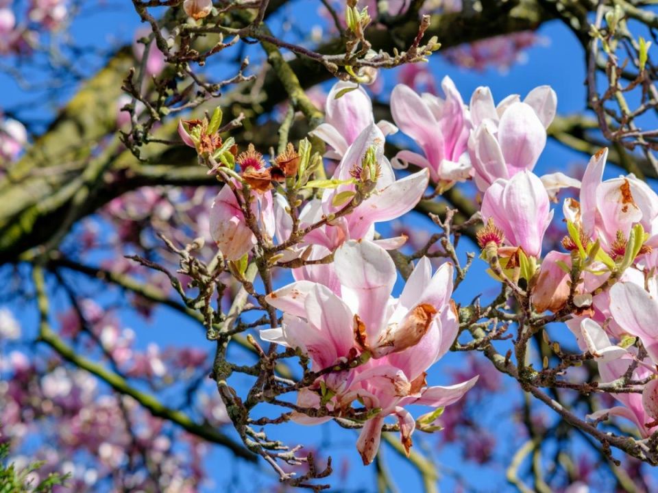 �������� �������� �����: ���������� �������� ��� ������ ����, �������� ���� � ������