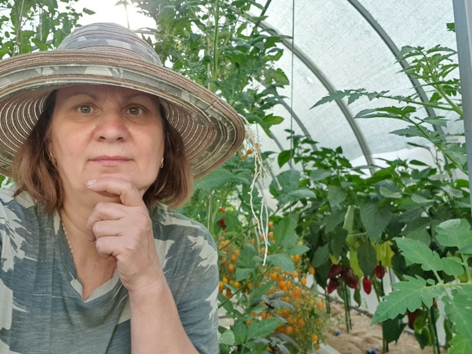 ����� ������ �����: ������ �� ������� � ������� 2026 ����