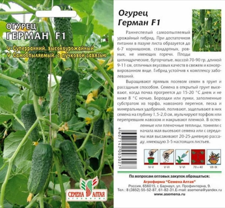 ����� �� �����: ������ ���� � ������ �� ���� �������