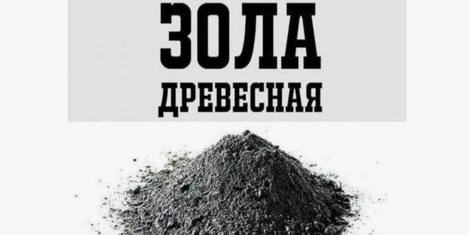 Эффективная органическая подготовка почвы к зиме: секреты здорового урожая