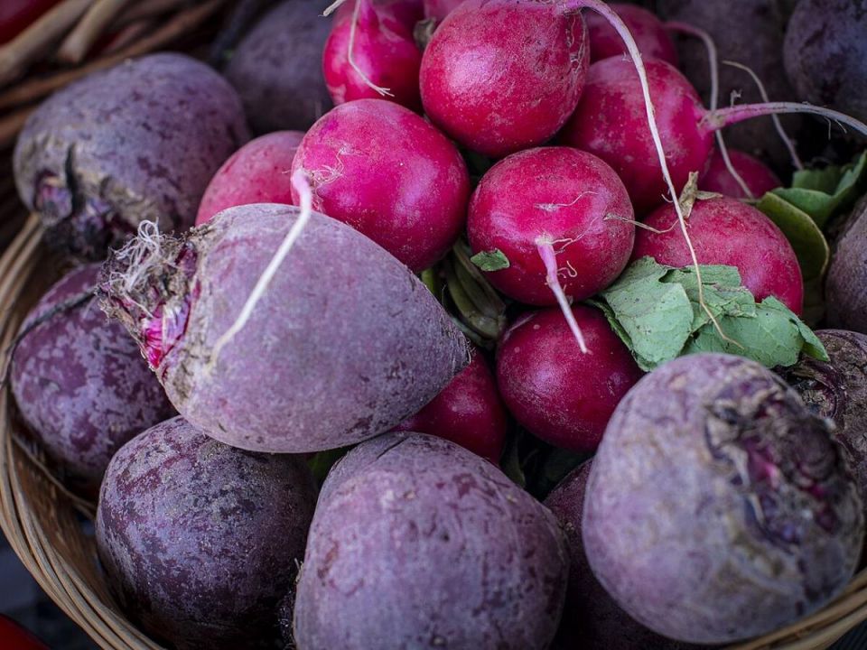 ������ vs ������: ��� ���������� � �������� ����