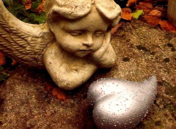 ��� ���������� � ����������� �������: ������ � ������������