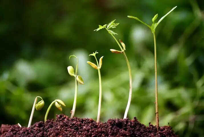 ����� ������ ������ ���������: ������� ��������� ����� �� �������� � ������