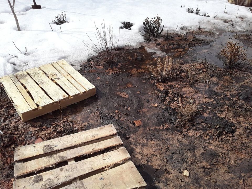 ��� � ������� �����: ��� ��� ����������� ����� ����������