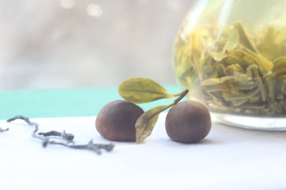 Чудеса ферментированного чайного масла для чувствительной кожи