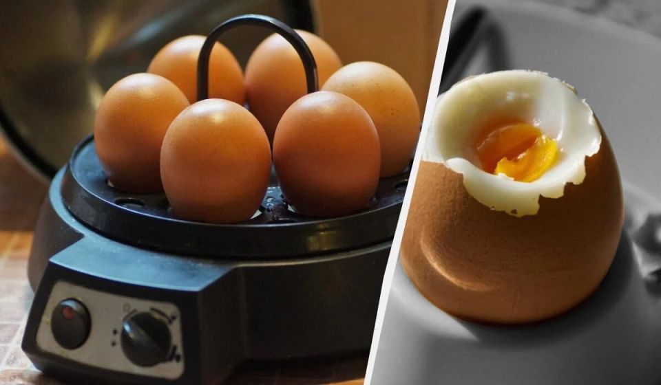 ��� ������������ ���� ����� �������� ������ ��������