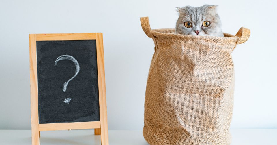 Новые правила годового отчета для УО и ТСЖ: что важно знать