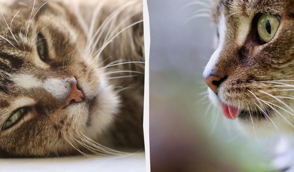 ������ ����� ������������ ����� �� ������� ������