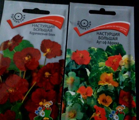 Лианы на даче: от настурции до квамоклита