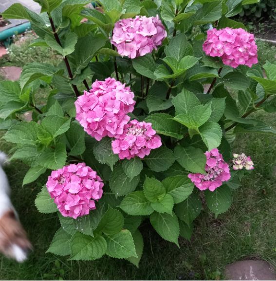 ������ �����: ������� ������� � ��������� ��������� ��� ������ ��������