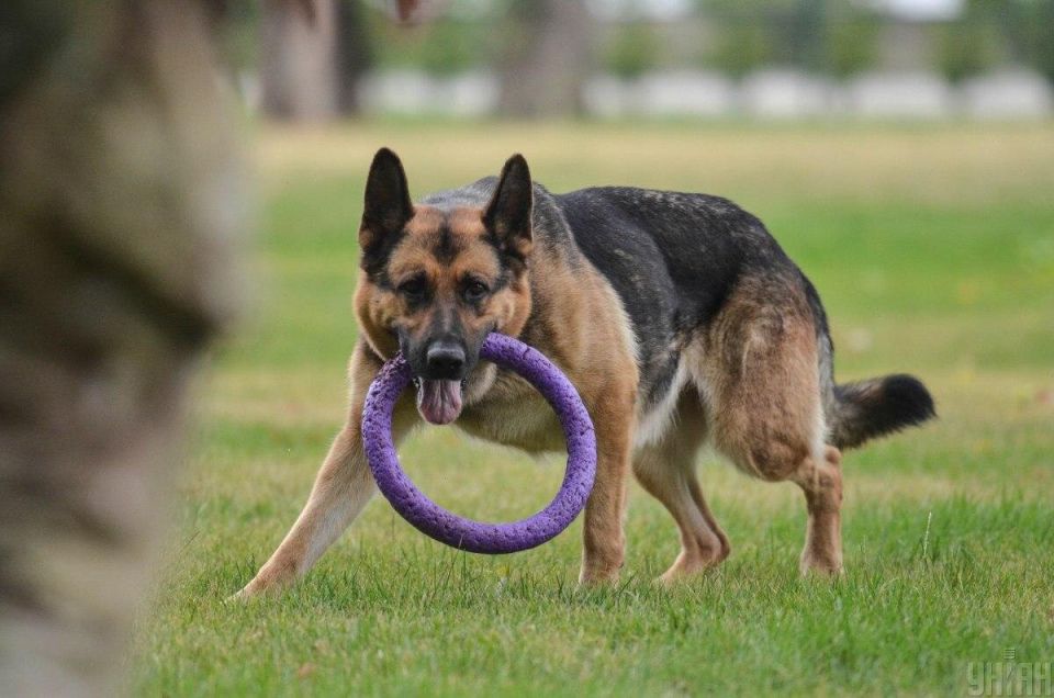 ������, ������� ����� �� �������� ��������: ������ ���������