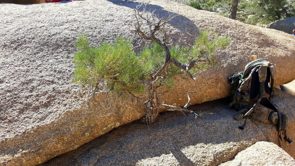 �������: ��������� ������� �������� �� ����� �������